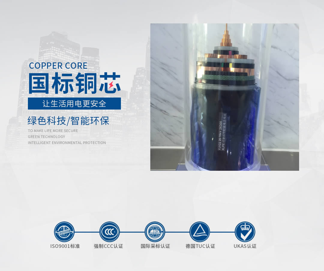 四川高压电缆 四川高压电缆