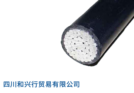 ���ѹ1kV������������Ե����