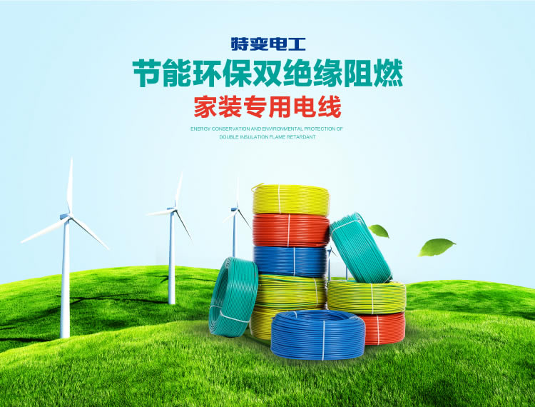 ÌØ±äµç¹¤µçÏßµçÀÂ ÌØ±äµç¹¤µçÏßµçÀÂ