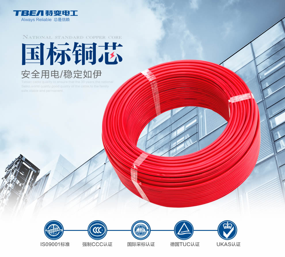 ÌØ±äµç¹¤µçÏßµçÀÂ ÌØ±äµç¹¤µçÏßµçÀÂ