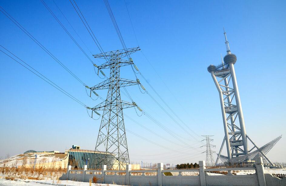 �����͵�������������Ű��������Щ����