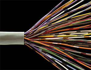 ֱ����µķ���淶��ʲô?