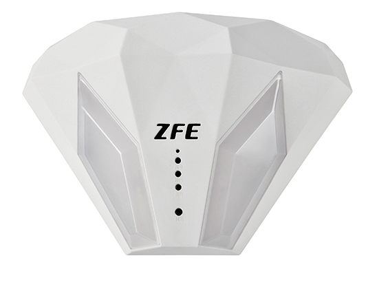 ZF-ZFZD-E2W-205 ZF-ZFZD-E2W-205